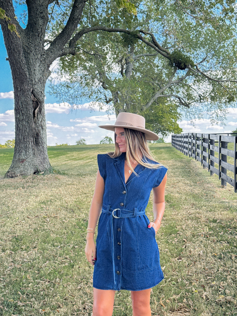 Crisp Evenings Denim Dress Clothing Peacocks & Pearls Lexington