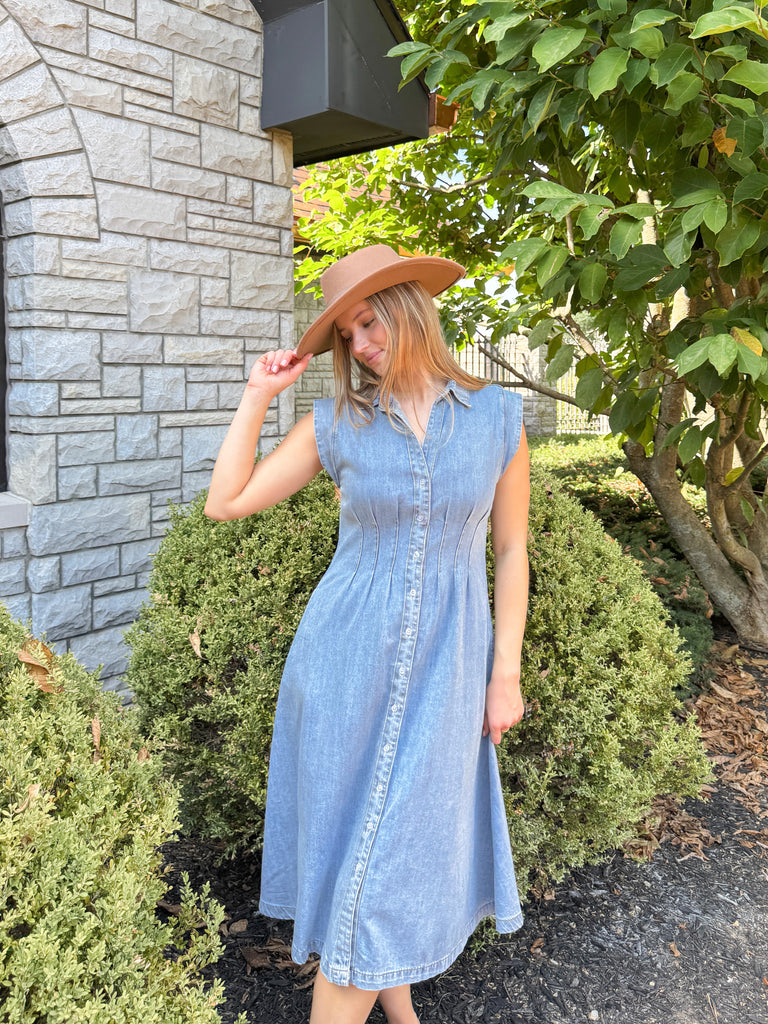The Denim Drift Dress Clothing Peacocks & Pearls Lexington