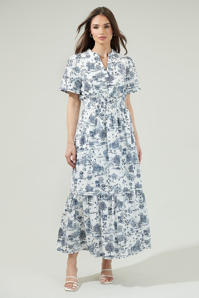 Renzo Toile Poplin Maxi Dress Clothing Peacocks & Pearls Lexington   