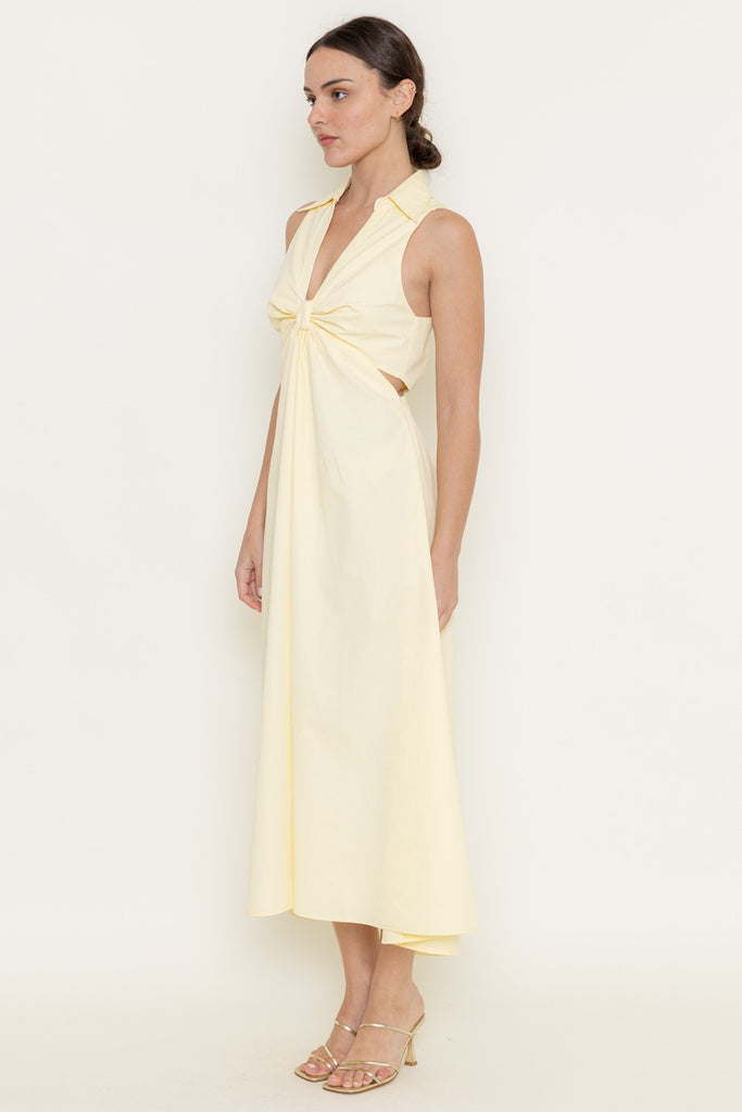 The Kate Dress Clothing Peacocks & Pearls Lexington