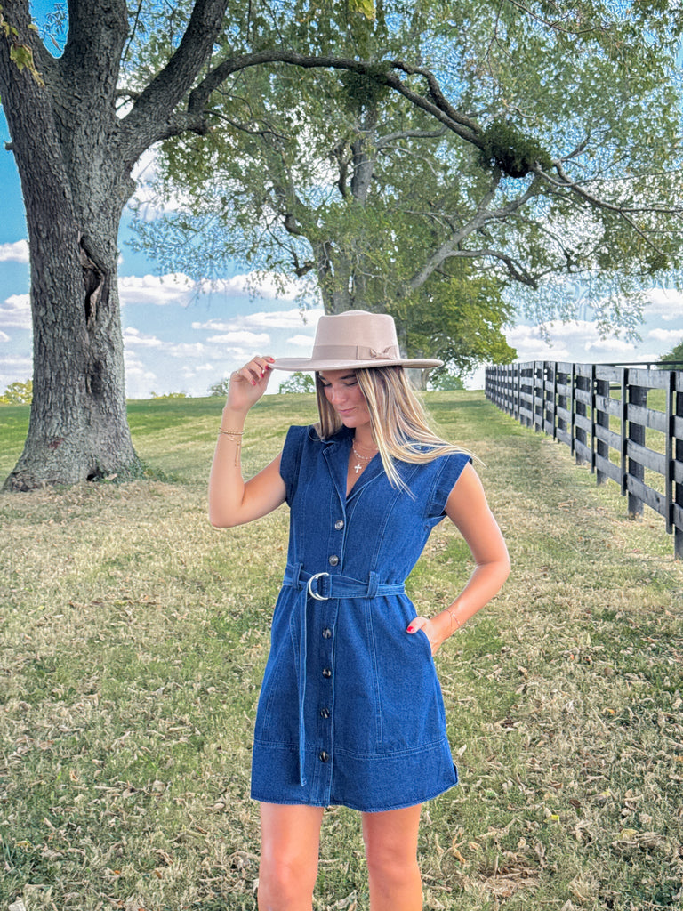 Crisp Evenings Denim Dress Clothing Peacocks & Pearls Lexington
