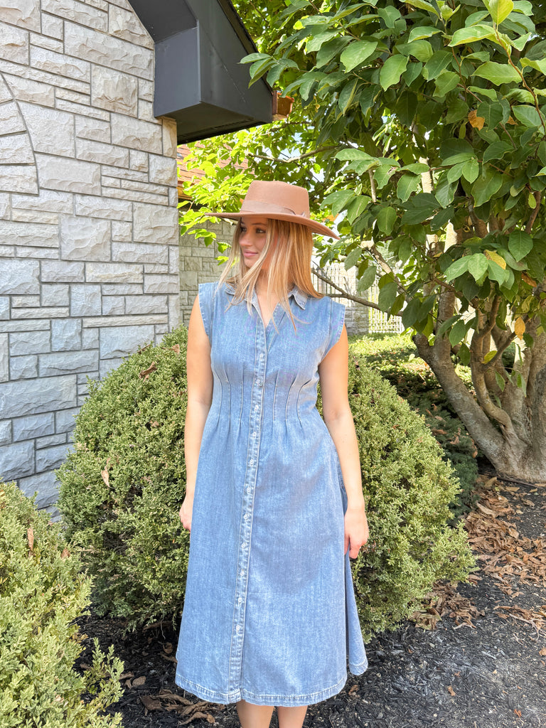 The Denim Drift Dress Clothing Peacocks & Pearls Lexington