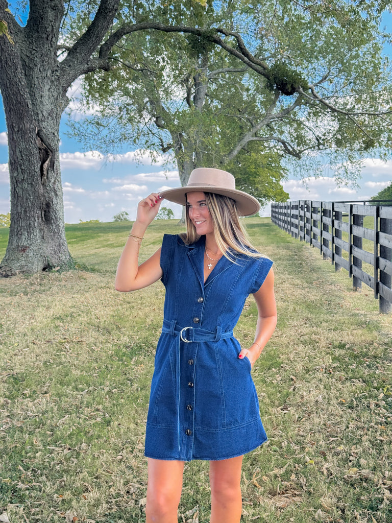 Crisp Evenings Denim Dress Clothing Peacocks & Pearls Lexington