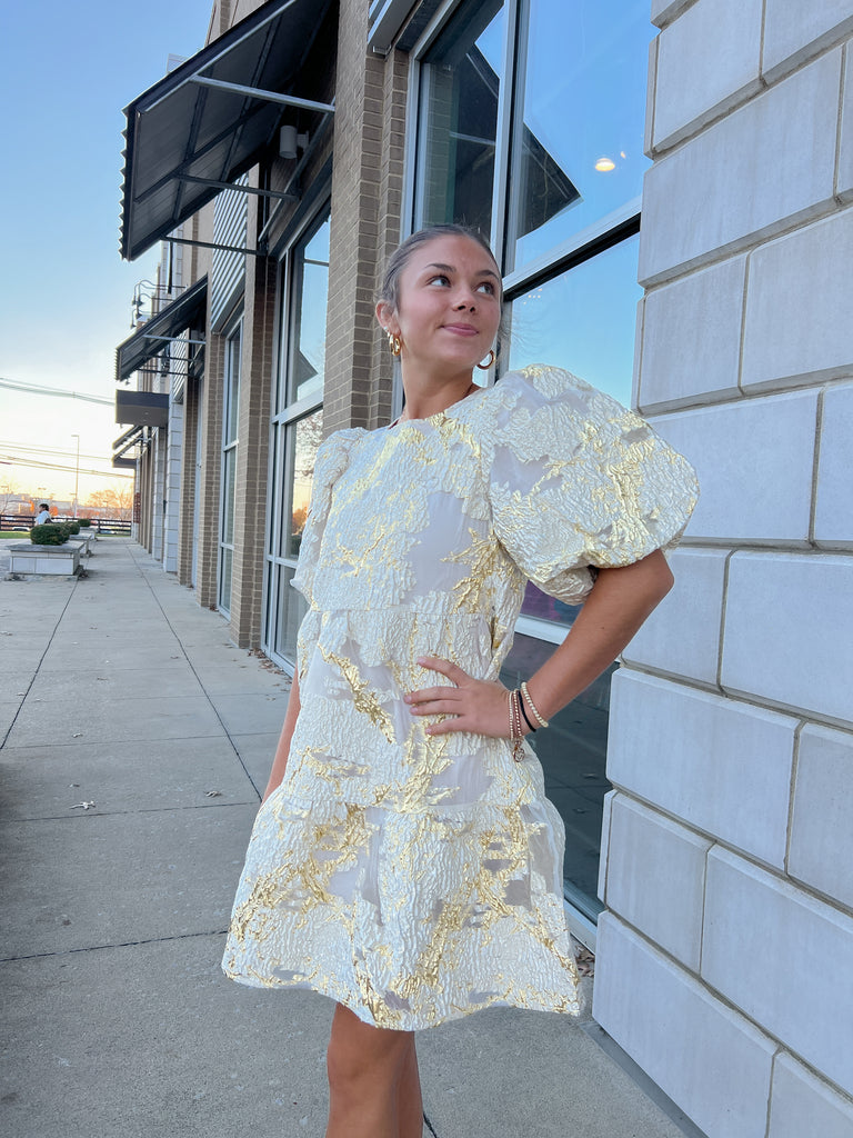 Holiday Sparkle Dress Clothing THML   