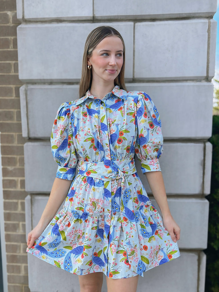 Yara Peacock Dress Clothing Peacocks & Pearls Lexington