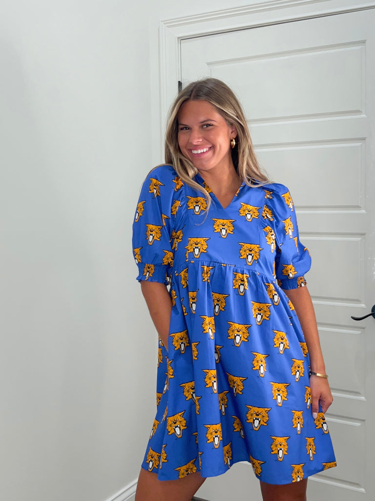 The KY Wildcat Poplin Dress Clothing Peacocks & Pearls Lexington   