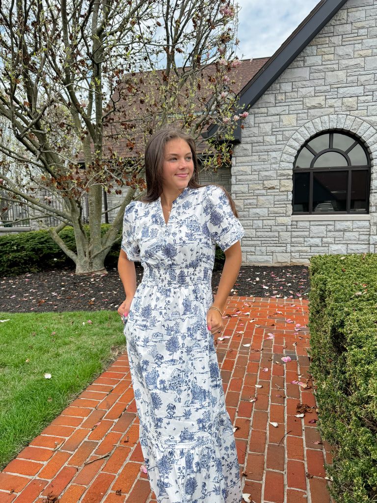 Renzo Toile Poplin Maxi Dress Clothing Peacocks & Pearls Lexington   