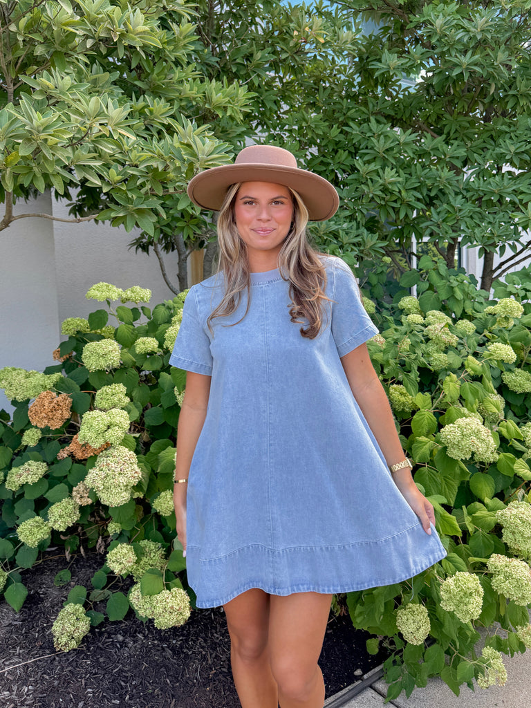 Skyline Denim Dress