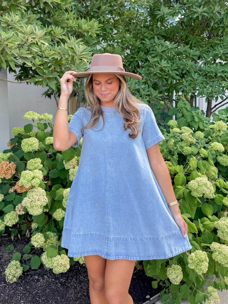 Skyline Denim Dress Clothing Peacocks & Pearls Lexington