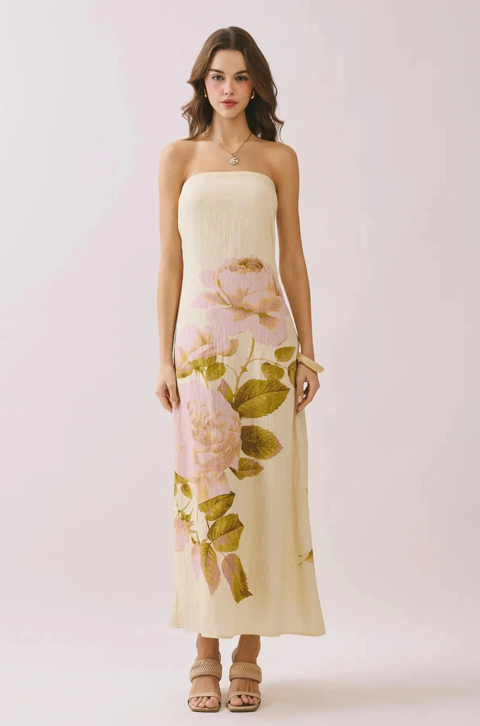 haven silk dress Haven Maxi Dress