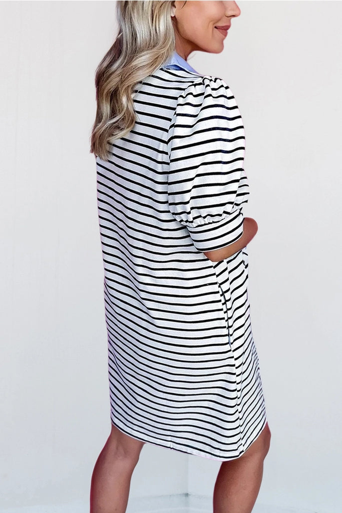 Clean Contrast Dress Clothing Peacocks & Pearls Lexington