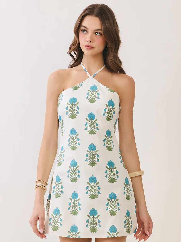 Palm Beach Babe Dress – Peacocks & Pearls Lexington