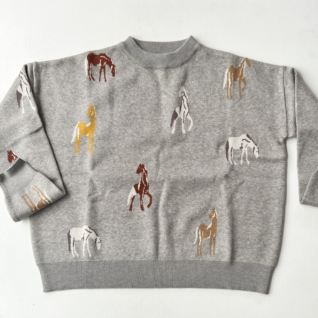 Giddy Up Sweater Clothing THML Grey XS 