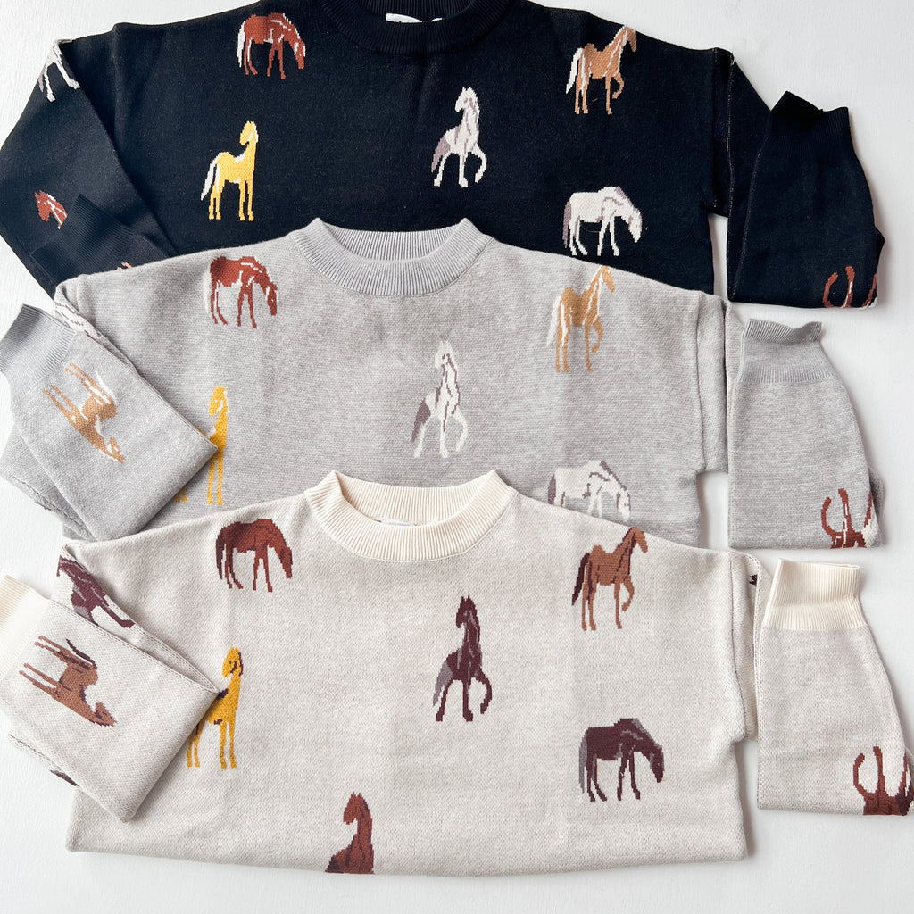 Giddy Up Sweater Clothing THML   