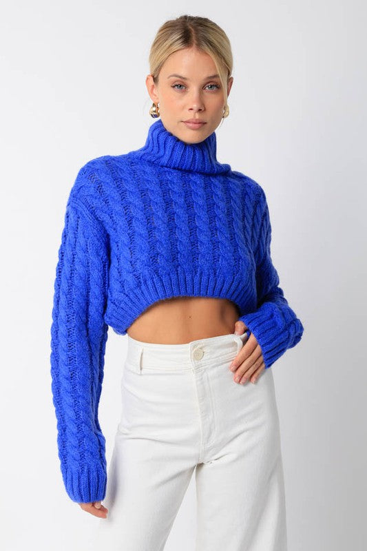 Royal Cropped Cable Knit Turtleneck Sweater Clothing Olivaceous   