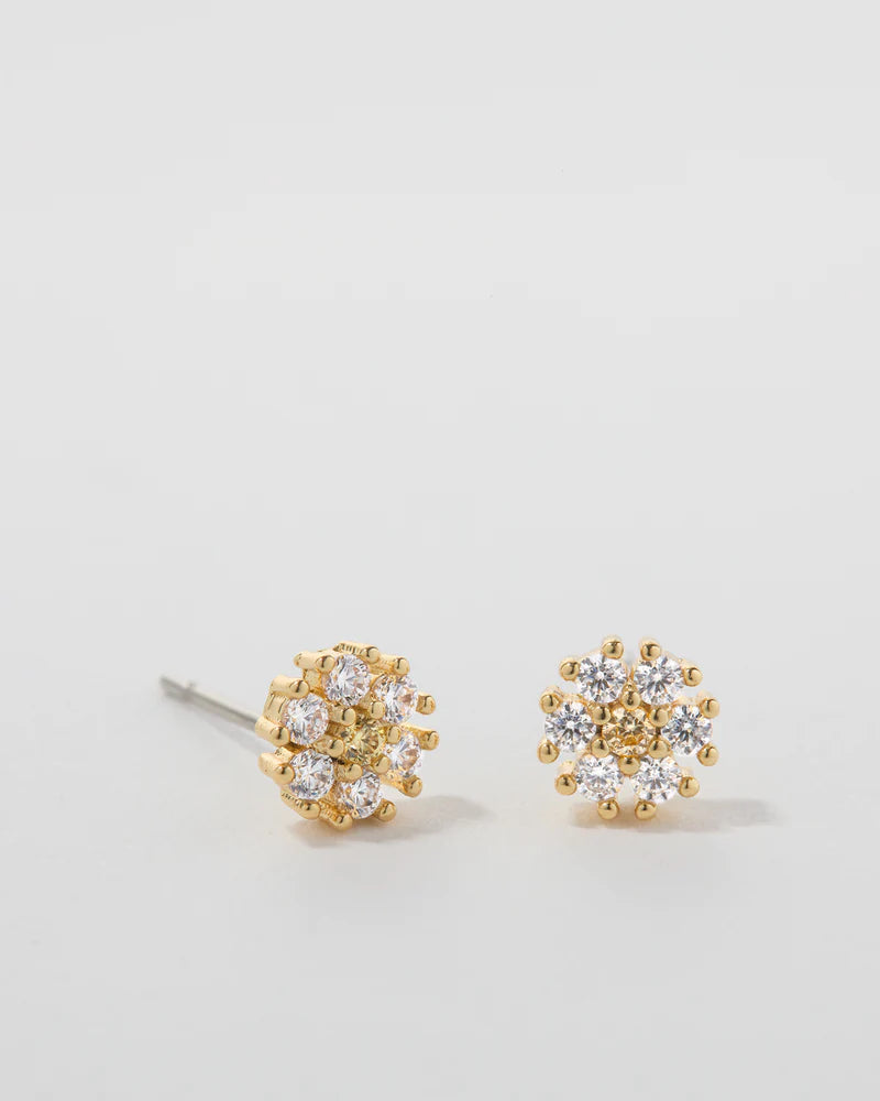 Bloom Stud Earrings Jewelry Bryan Anthonys Clear  