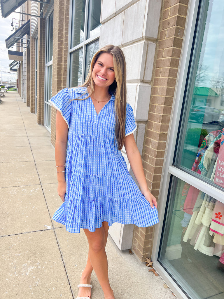 Collared Sheer Gingham Ruffle Slv Dress Clothing THML   